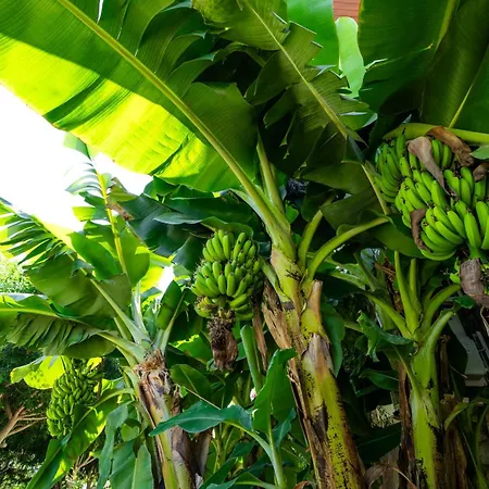 Hotel Karaincir Datca 3*